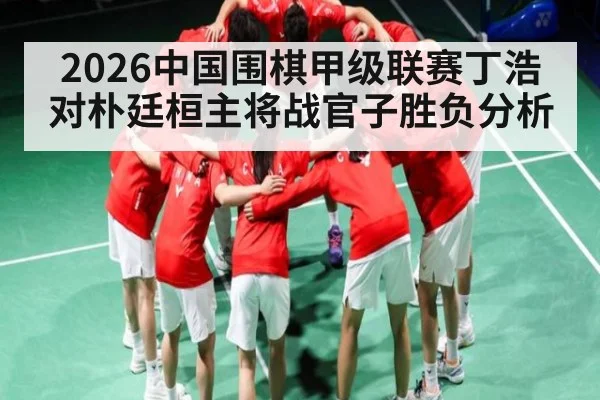 2026中国围棋甲级联赛丁浩对朴廷桓主将战官子胜负分析