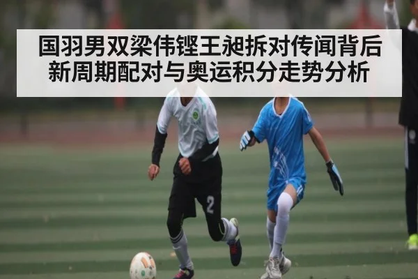 国羽男双梁伟铿王昶拆对传闻背后 新周期配对与奥运积分走势分析